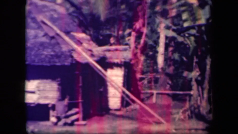 Soft 8mm frame from Leyte Gulf showing a thatched structure, surrounding palms, and a diagonal pole across the tropical exterior.