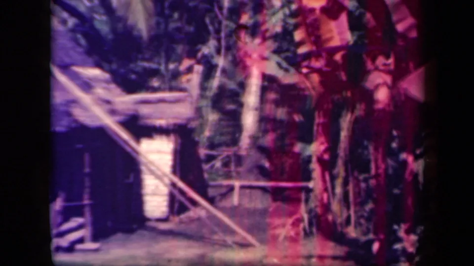 1944 Leyte Gulf frame showing a thatched hut and palms, with an indistinct person partly visible near the right side of the scene.