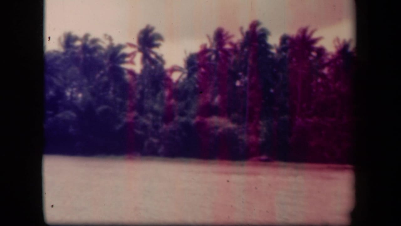 1944 Leyte Gulf, Philippines footage appears to show a palm-covered shoreline across a calm river or inlet.