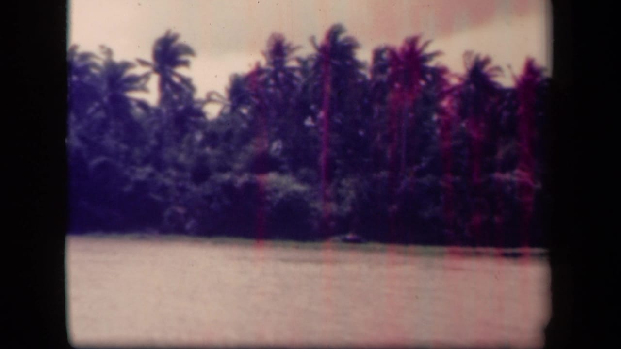 Tropical palms and dense greenery along a waterway with film borders visible.