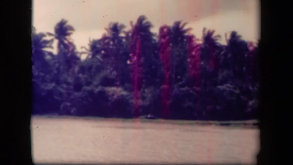 The 8mm frame shows a nearer palm-lined bank beside pale water, consistent with the Leyte Gulf, Philippines metadata.
