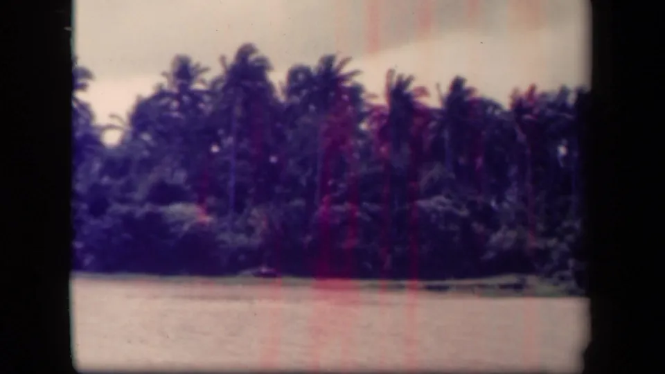 A faded 1940s 8mm view of palm trees and tropical riverbank vegetation in the supported Philippines location.