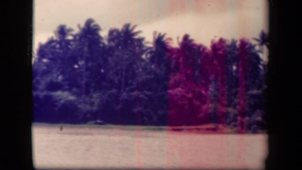 1944 8mm view of a palm-lined shoreline in Leyte Gulf, Philippines, seen across calm water with faded magenta-purple color.