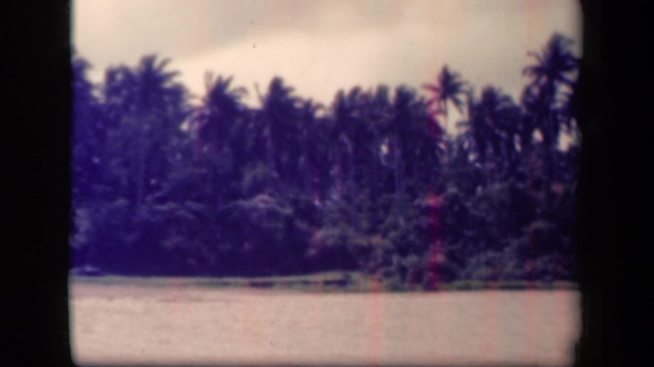 Palm-covered Leyte Gulf shoreline in 1944 home-movie footage, framed by dark 8mm edges and faded color.
