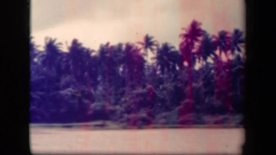 Soft 8mm frame of Leyte Gulf shoreline, showing palm trees, low vegetation, water, and pronounced pink-purple film fading.