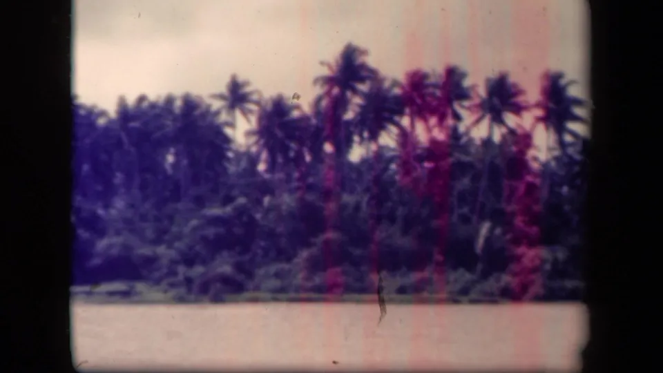Faded 1944 8mm view of a Leyte Gulf palm shoreline, with calm water, soft focus, scratches, and dark frame edges.