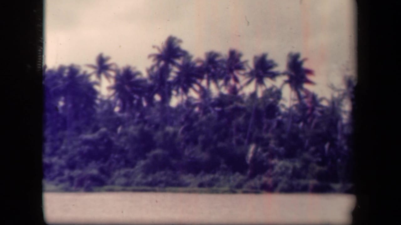 Palm trees lining a tropical shoreline across water under a cloudy sky.