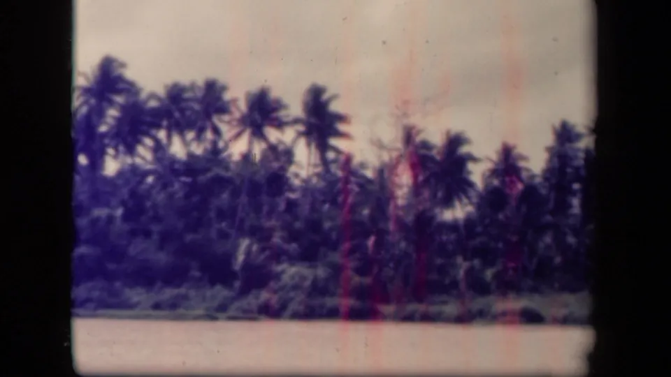 1944 Leyte Gulf home-movie frame showing tropical palms and thick vegetation across a waterfront, with visible film scratches and color shift.