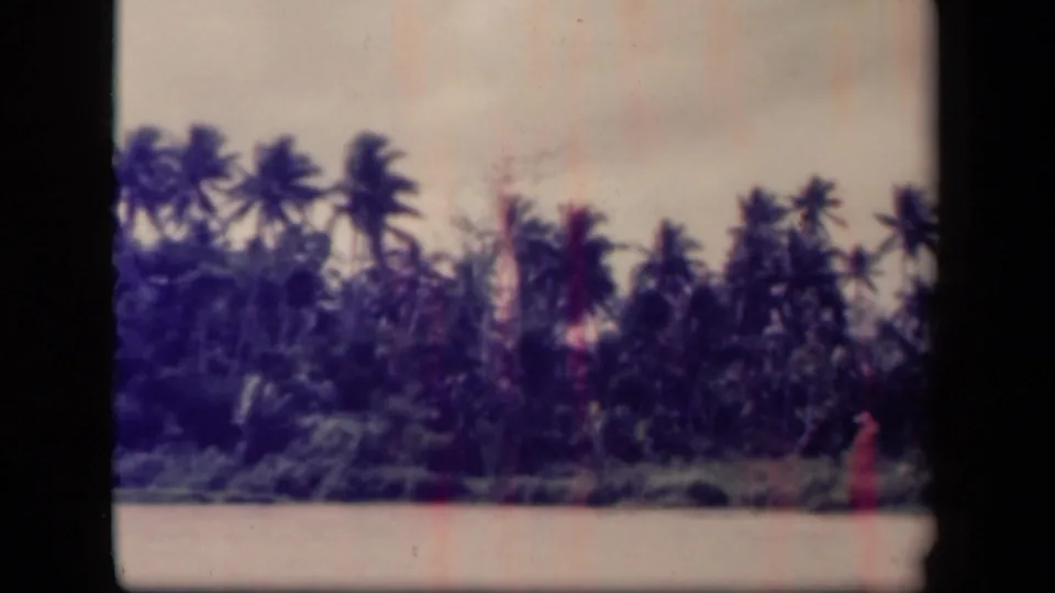 1944 Leyte Gulf 8mm frame of a palm-lined shoreline across water, showing grain, scratches, and pink-purple color shifts.
