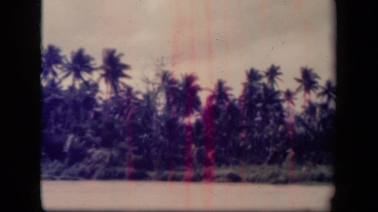 Palm-lined tropical landscape near Leyte Gulf, Philippines, seen in soft 1940s 8mm color footage.