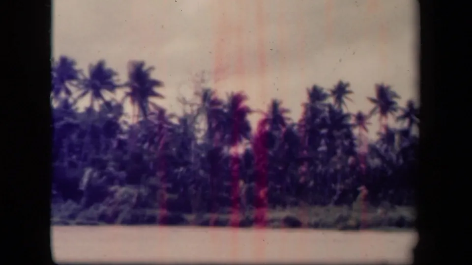 Palm-lined tropical landscape near Leyte Gulf, Philippines, seen in soft 1940s 8mm color footage.