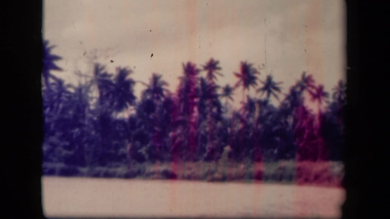Palm trees and tropical growth near Leyte Gulf appear through aged 8mm color shifts and soft focus.