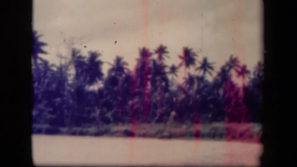 Palm trees and tropical growth near Leyte Gulf appear through aged 8mm color shifts and soft focus.