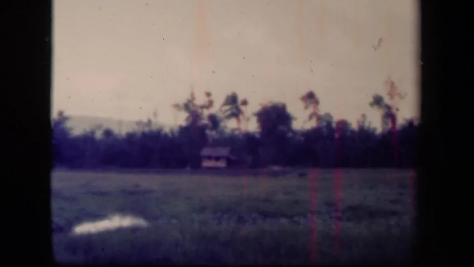 A wider Leyte Gulf landscape view shows an open field, tree line, and small distant hut-like structure.