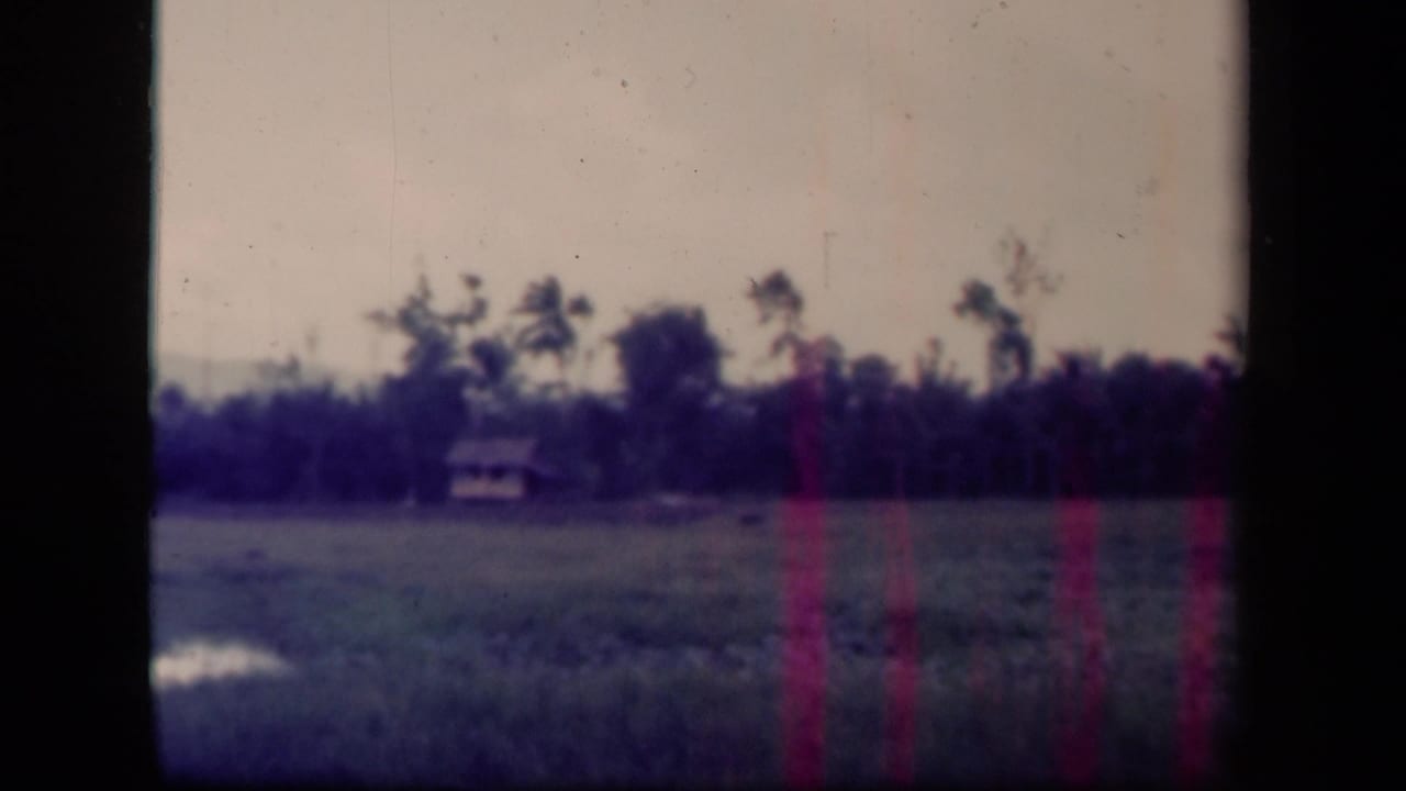 1944 Leyte Gulf 8mm frame showing a grassy field, distant tree line, and small structure beneath a muted sky.