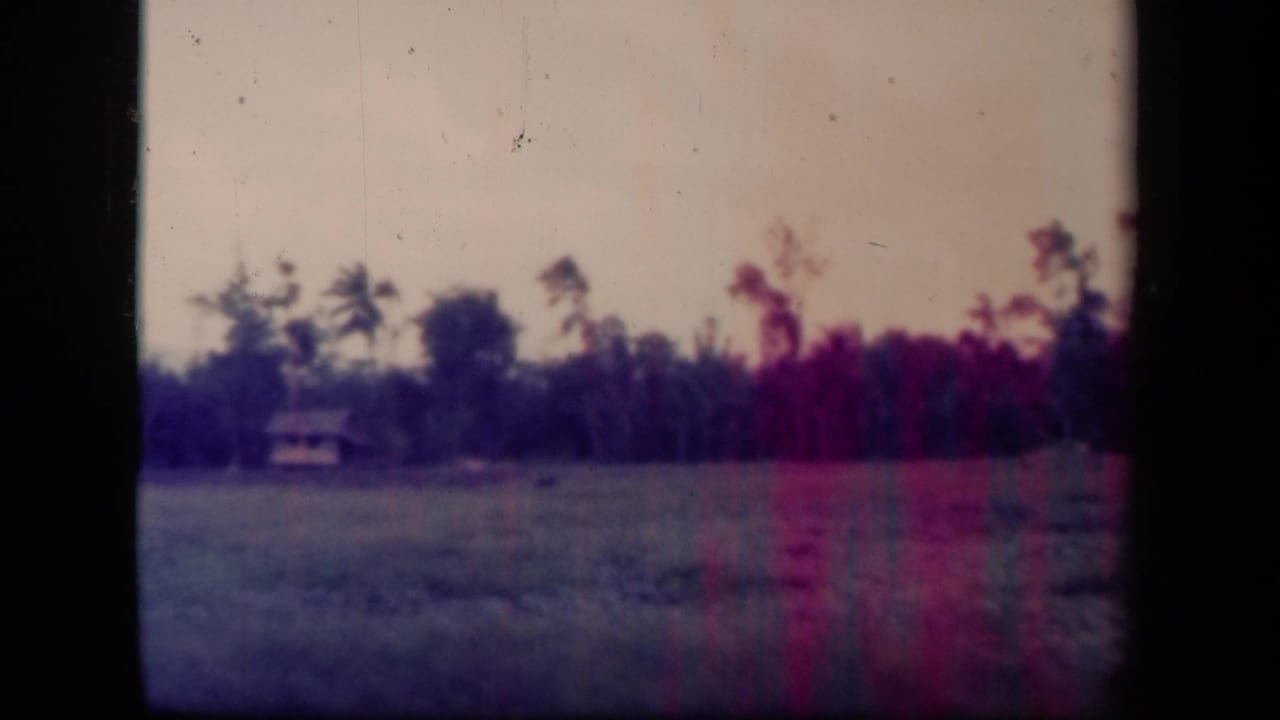 Open field and tree line seen through dark 8mm frame borders.