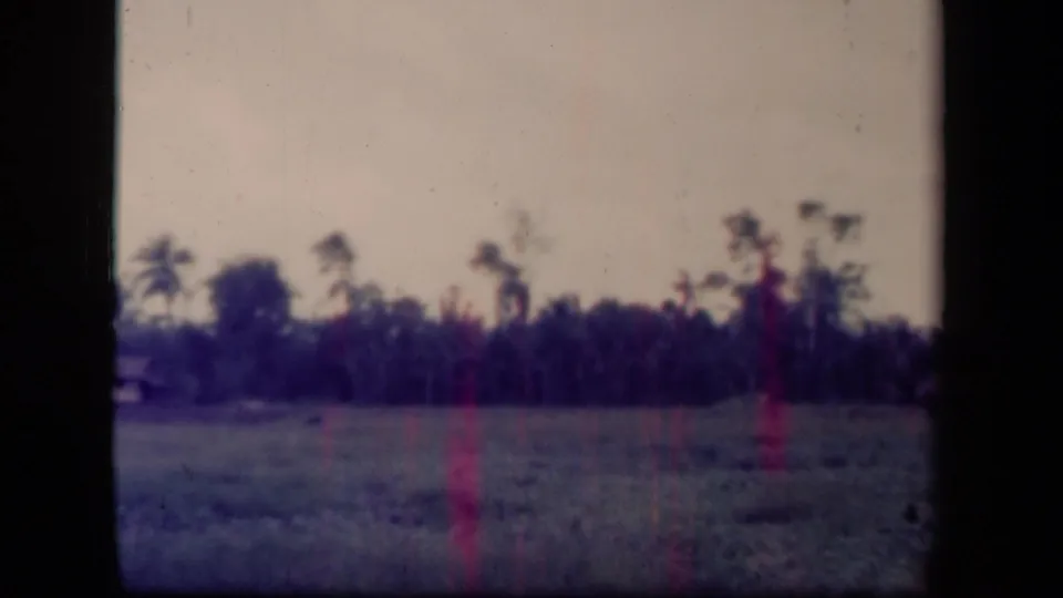 1944 Leyte Gulf frame showing a grassy foreground, dark trees, palm silhouettes, and faded color from an 8mm source.