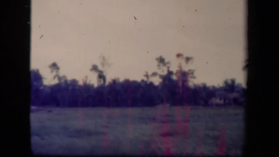 1944 Leyte Gulf 8mm still with open grass, palm-lined trees, and a small distant structure at the right.