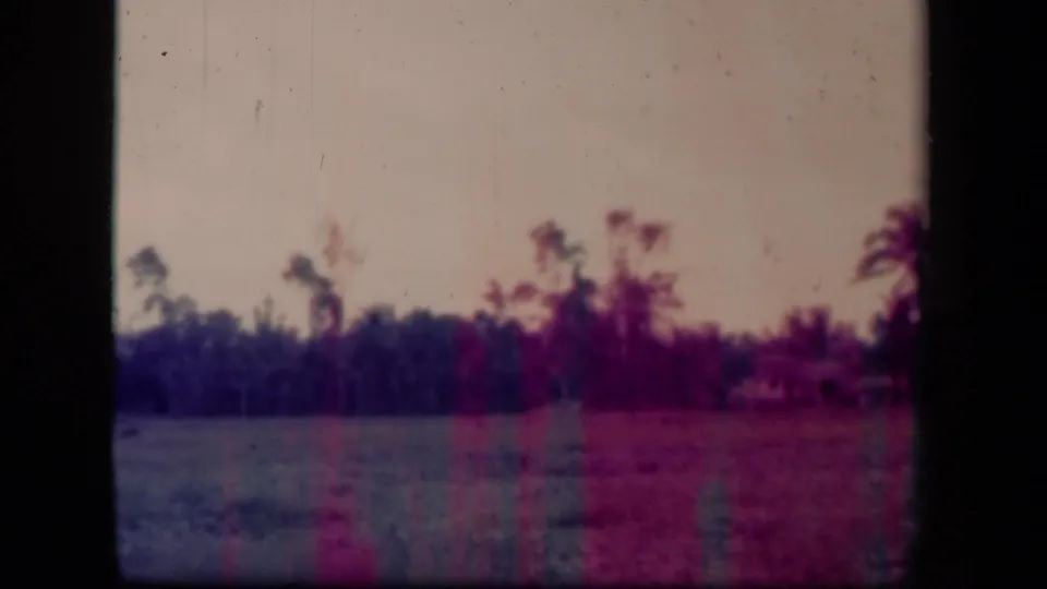 1944 Philippines 8mm frame showing a hazy field, palm silhouettes, dense tree line, pale sky, and visible film-edge darkening.