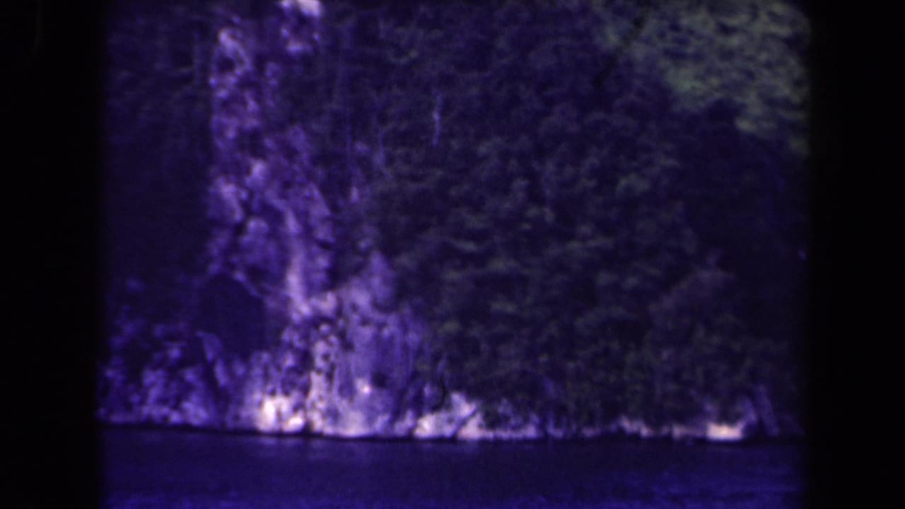 Forested cliff rising from dark water with a strong purple color cast.