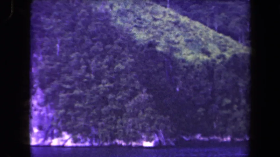 Forested Papua New Guinea coastal hillside fills the frame, with dark water at the bottom and aged film coloration.