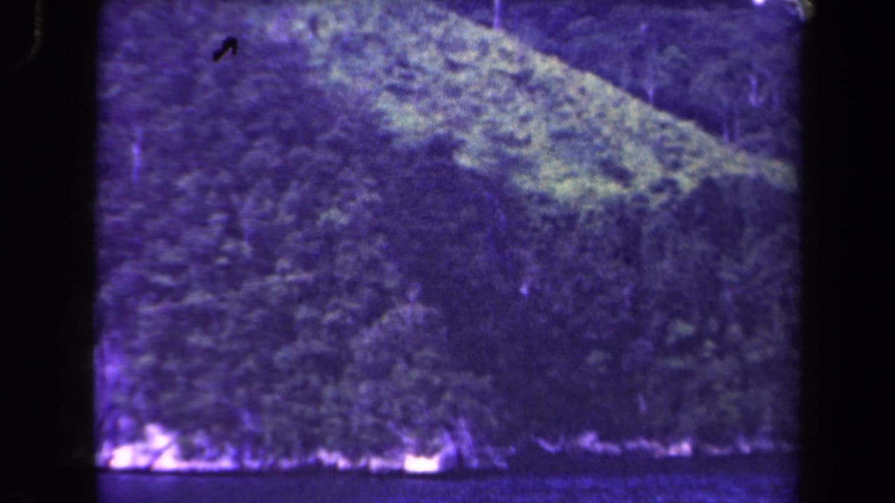 1944 8mm view of a forested Papua New Guinea mountainside seen across water, with strong purple color shift and visible film borders.