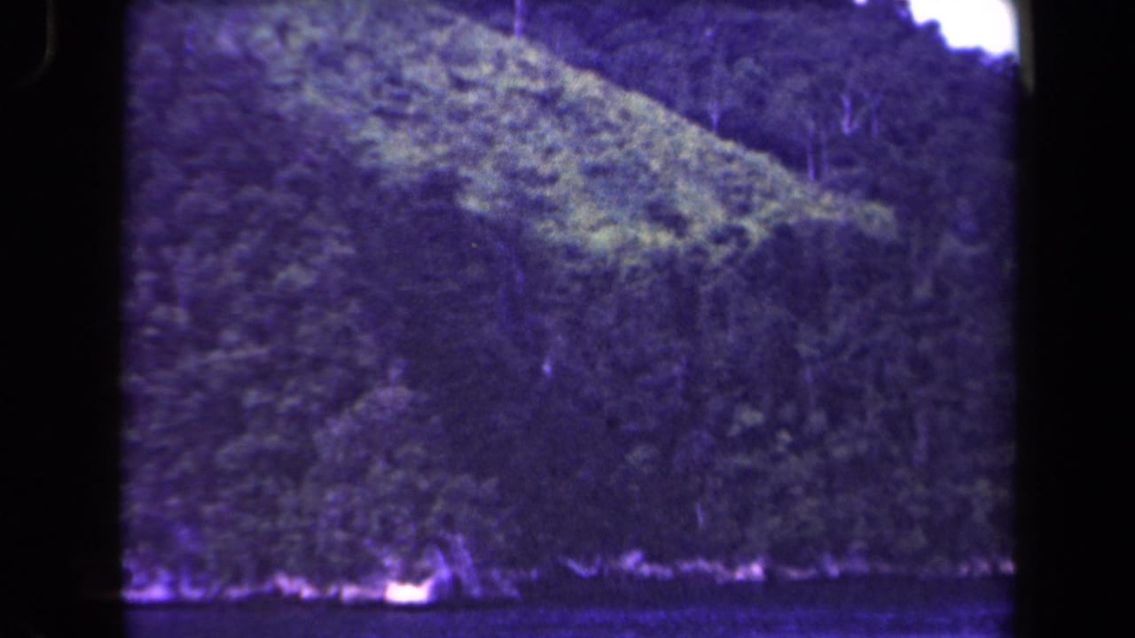 Dense green slope and shoreline viewed through purple-shifted 8mm film.