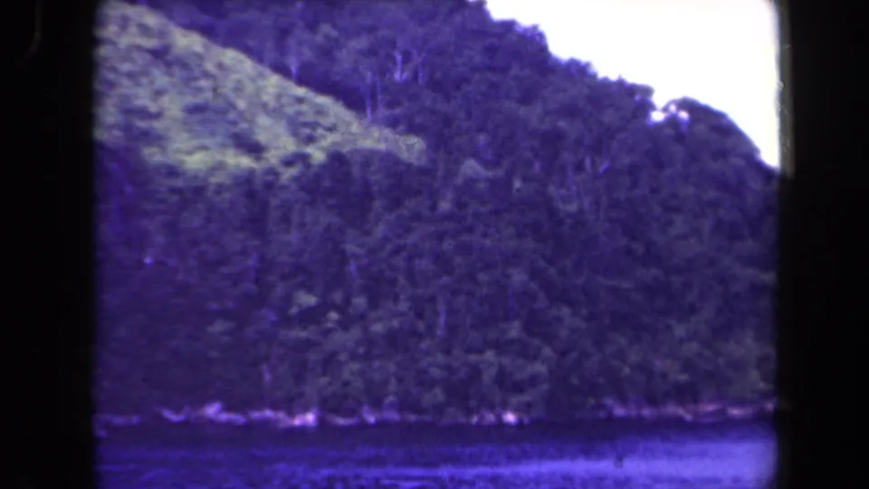 1944 Papua New Guinea 8mm frame showing a densely forested mountain slope descending toward calm water under an overexposed sky.