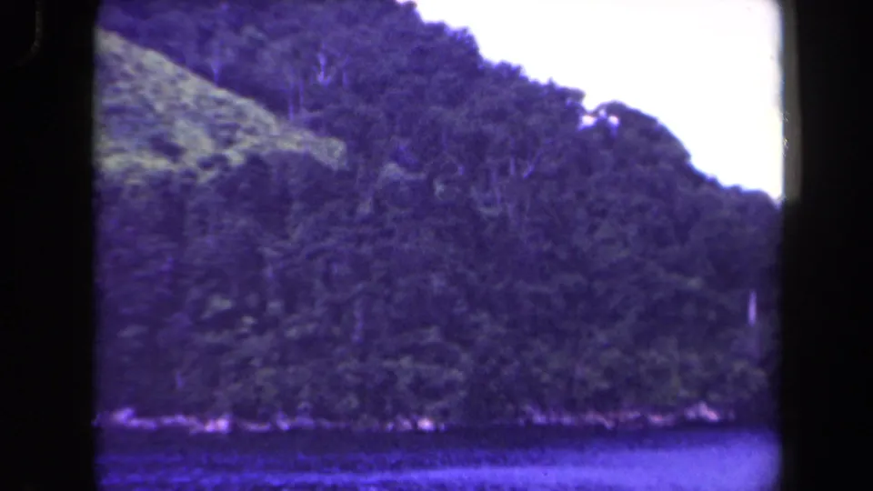 1944 Papua New Guinea 8mm frame with dense tropical vegetation on a mountainside above a narrow visible shoreline and blue water.