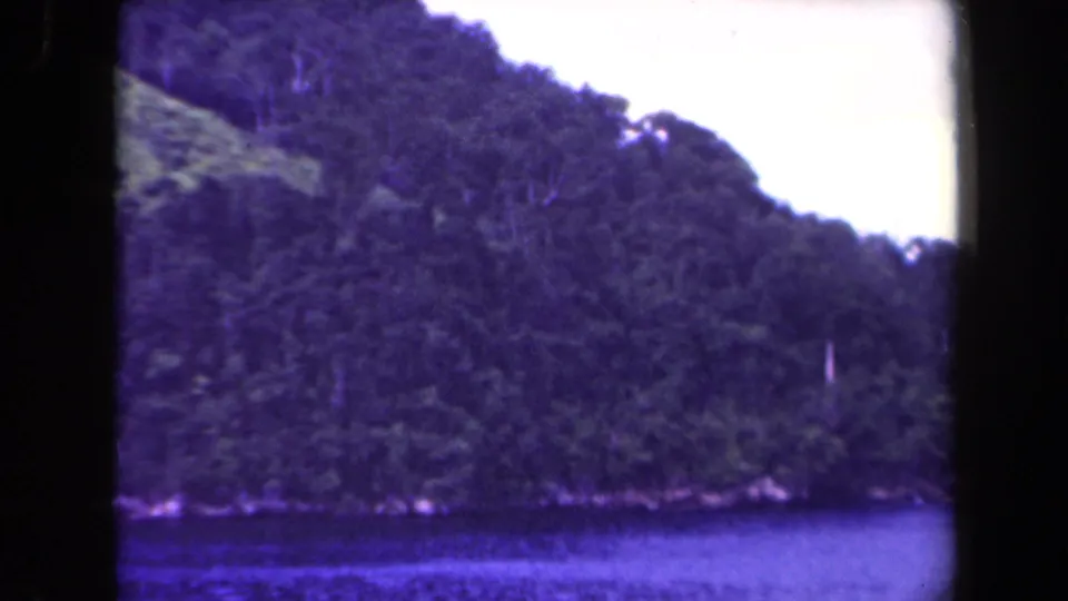 1944 Papua New Guinea home-movie frame showing a wooded slope meeting calm water, with heavy purple tint and soft 8mm texture.