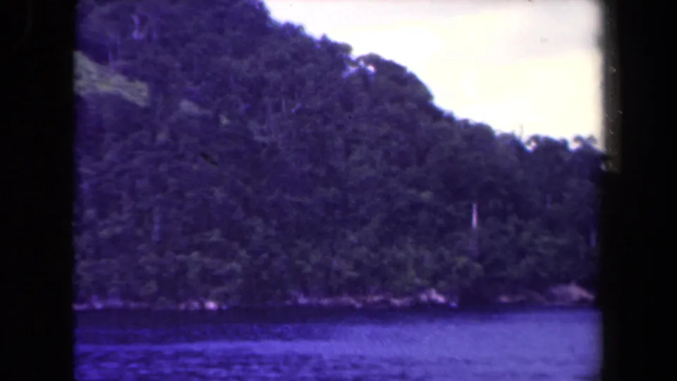 1944 Papua New Guinea 8mm frame of a forest-covered hillside beside blue water, seen through aged film with visible gate edges.