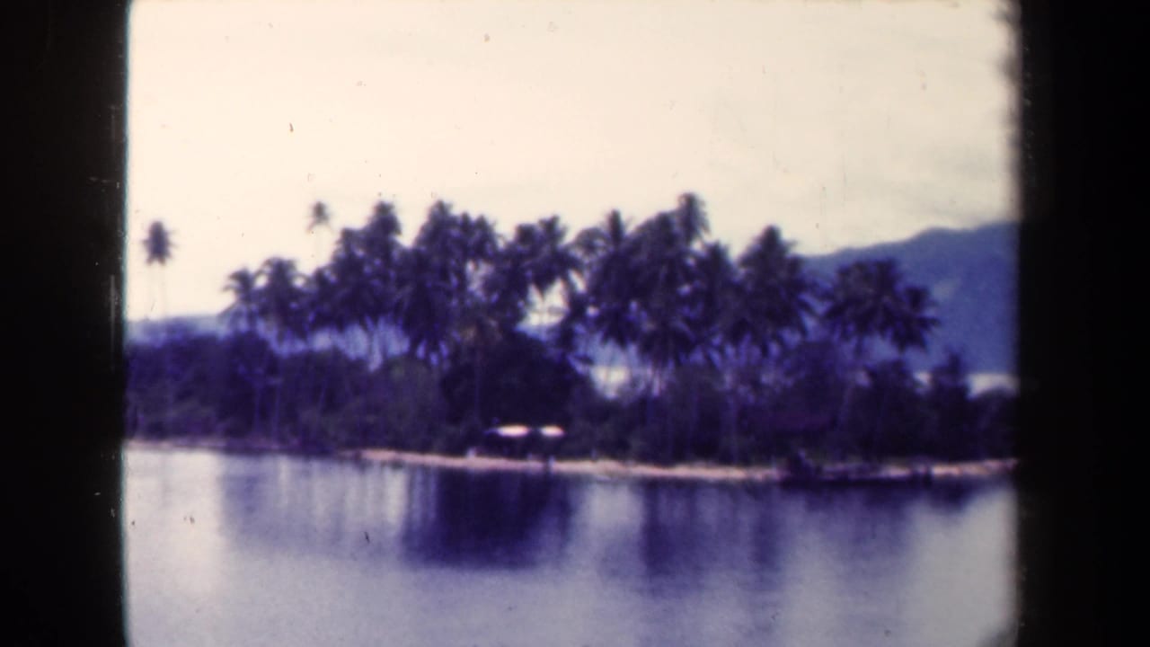 Palm-lined small landmass across calm water with distant hills under a pale sky.