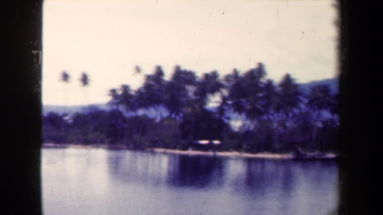 1944 Papua New Guinea 8mm frame with palm trees along a low island-like shoreline, still water, and distant hills beneath an overcast sky.