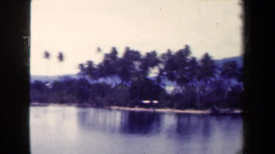1944 Papua New Guinea 8mm frame with palm trees along a low island-like shoreline, still water, and distant hills beneath an overcast sky.