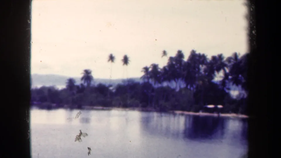 1944 Papua New Guinea 8mm frame with a palm-lined shoreline across calm water, hazy hills, pale sky, and visible film marks.