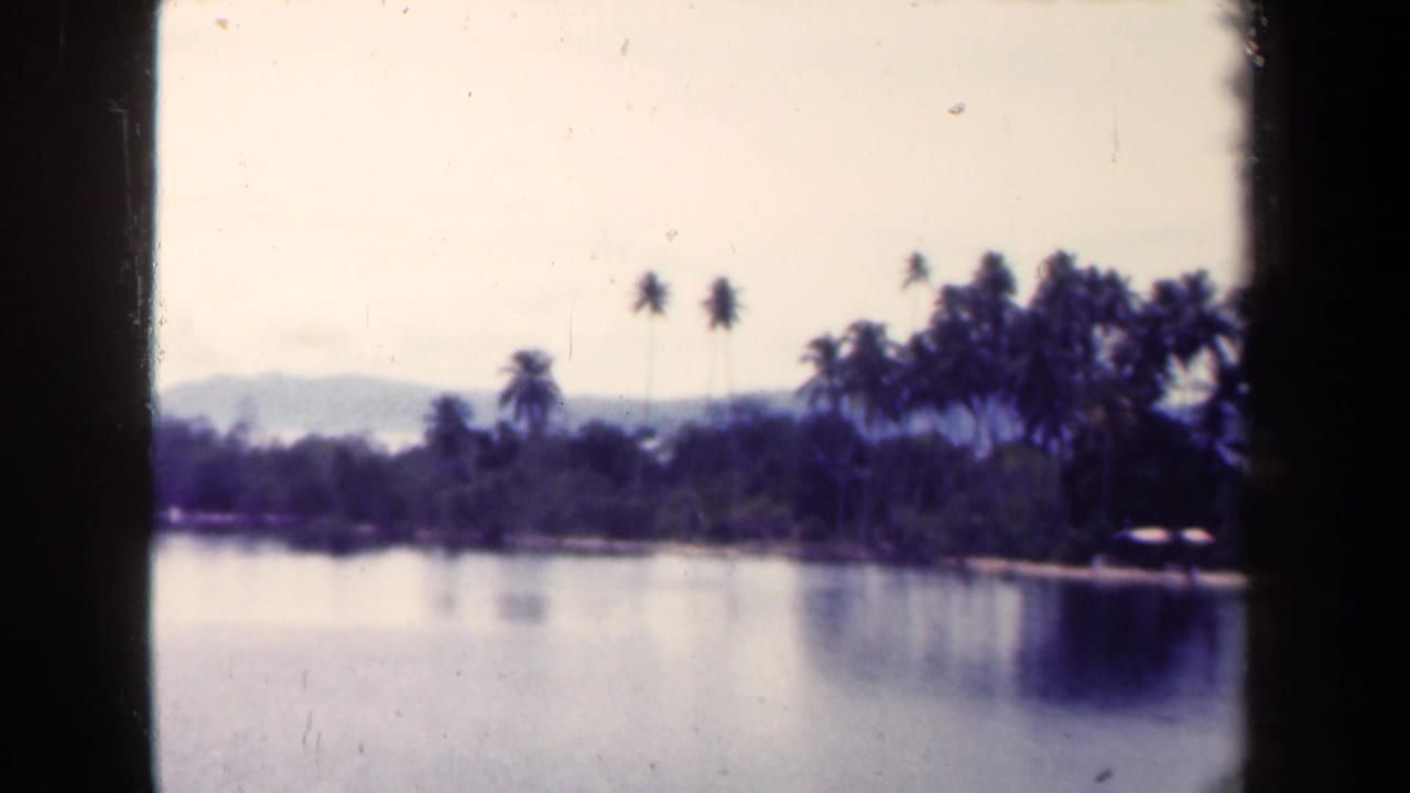 1944 Papua New Guinea 8mm frame showing calm water, a palm-lined shore, dense vegetation, and distant mountains.