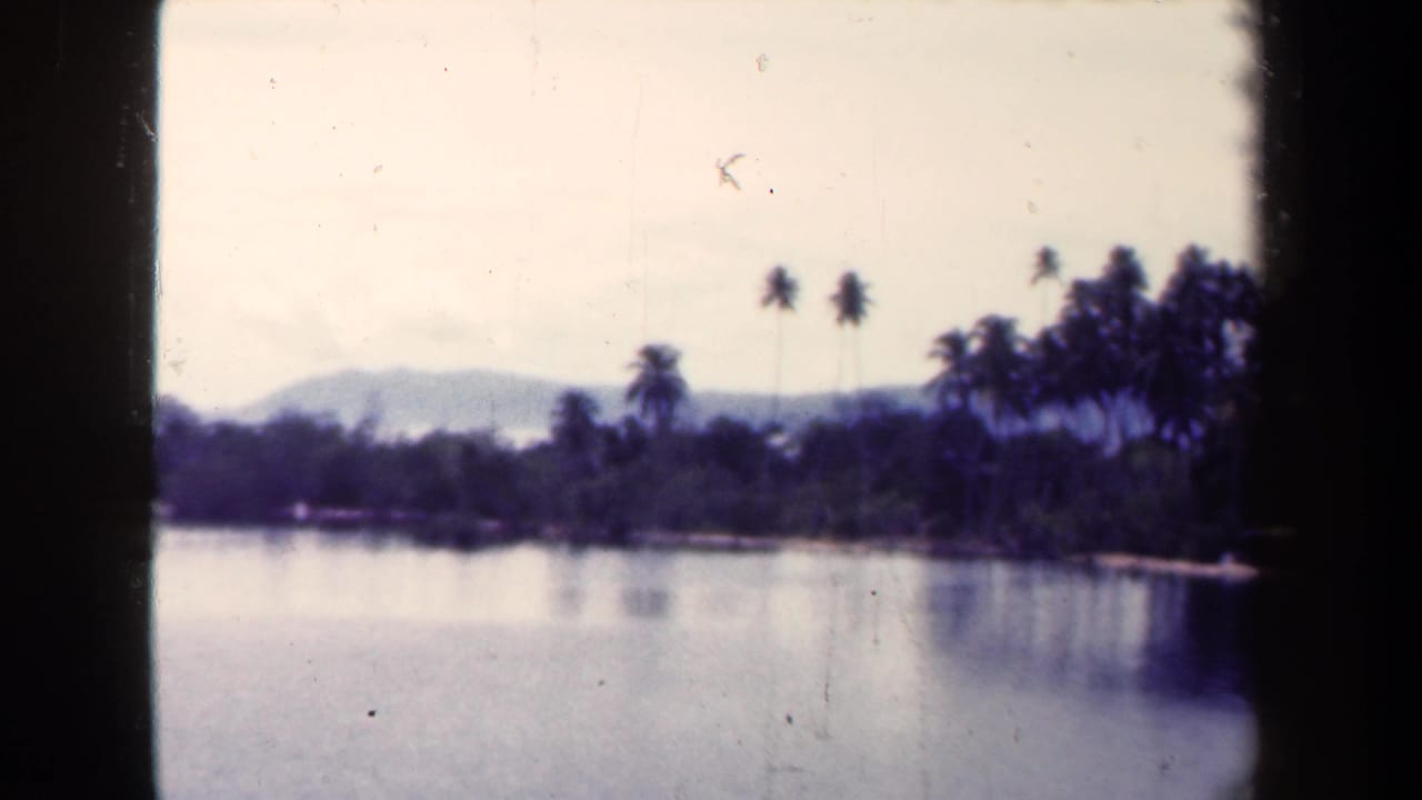Still water reflects a tree-lined shore with palms and hazy mountains beyond.