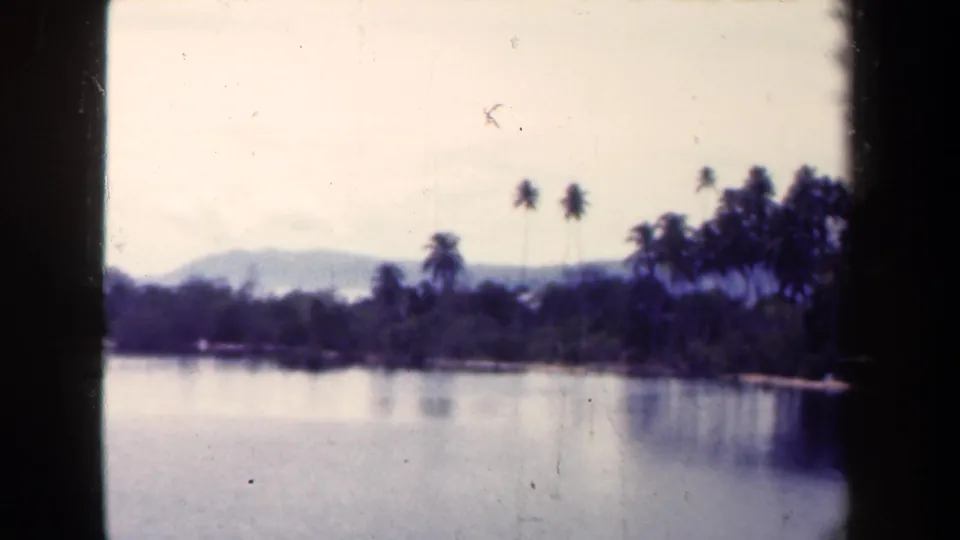 1944 Papua New Guinea 8mm frame with reflective water, tropical shoreline trees, palms, and hazy mountain background.
