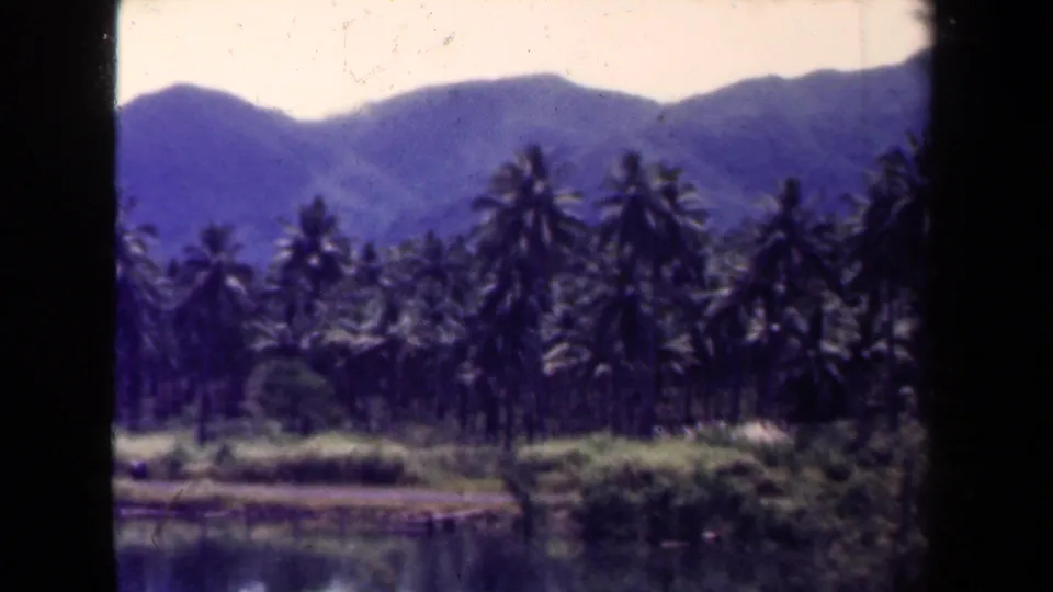 1944 Papua New Guinea 8mm frame showing palms, thick tropical vegetation, still water, and blue mountain slopes.