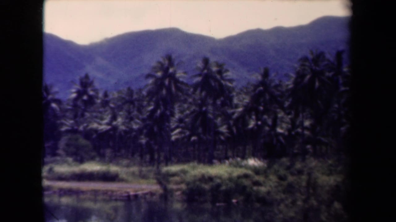 1944 Papua New Guinea 8mm frame showing palms, dense greenery, a water edge, and hazy mountain ridges.