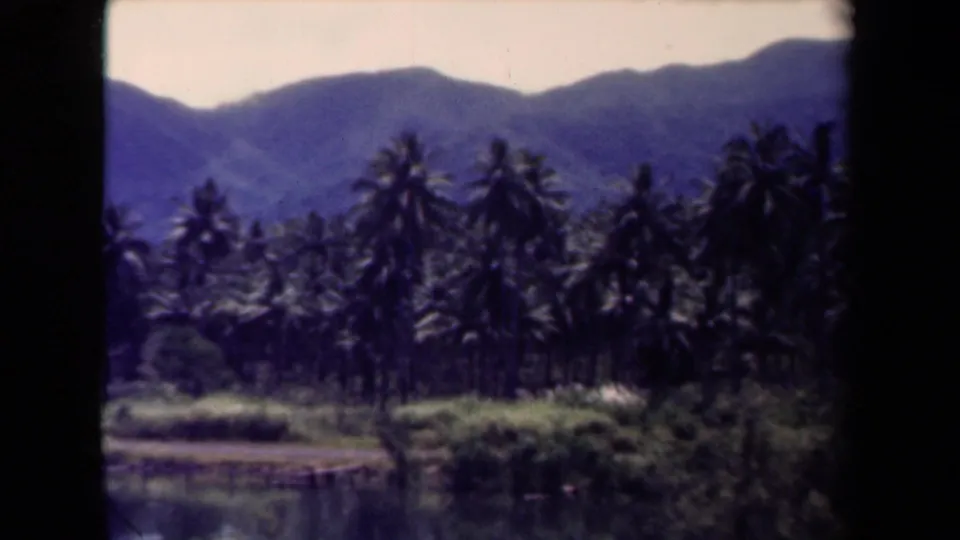 1944 Papua New Guinea 8mm frame showing palms, dense greenery, a water edge, and hazy mountain ridges.