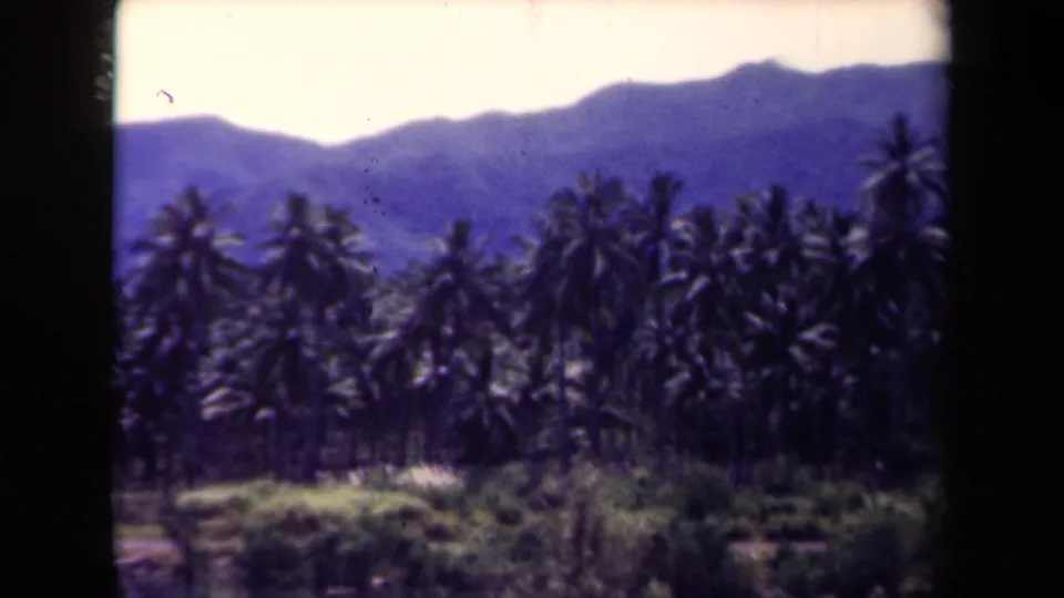 1944 Papua New Guinea 8mm frame showing a palm grove, thick greenery, and layered mountains near water.