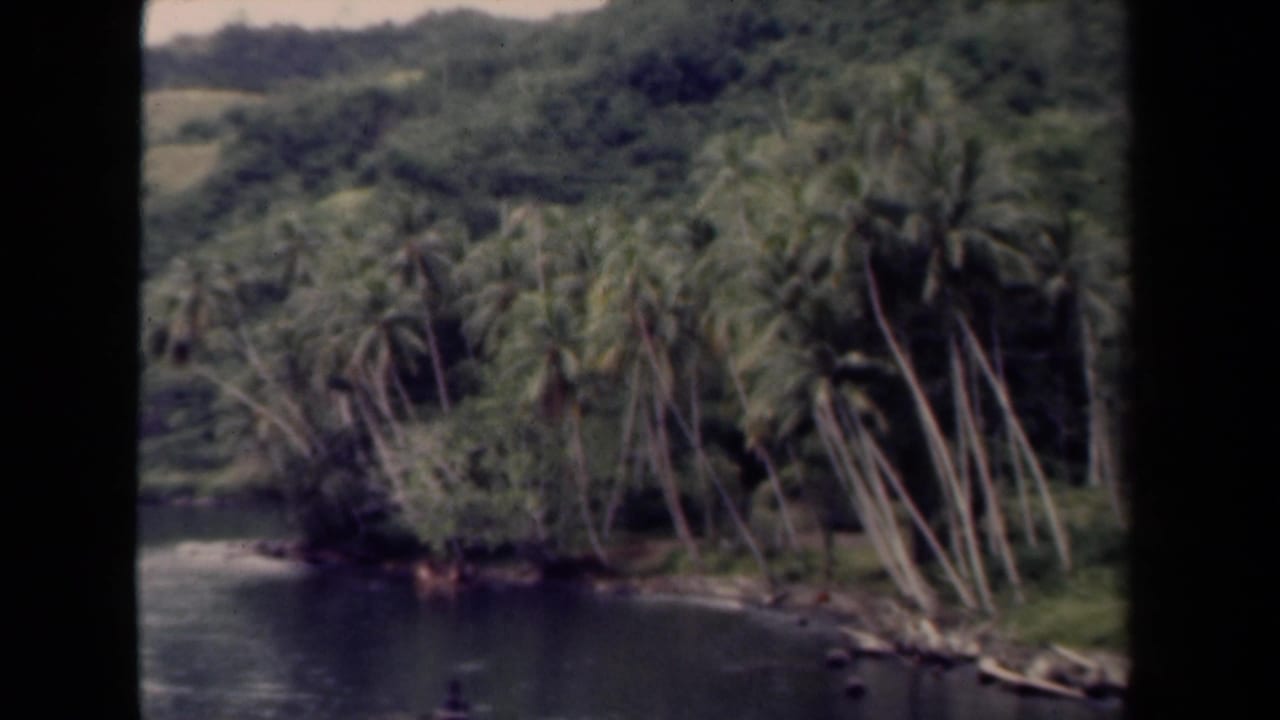 1944 Papua New Guinea 8mm frame showing a palm-lined tropical shoreline, calm water, green hillside, and visible film borders.