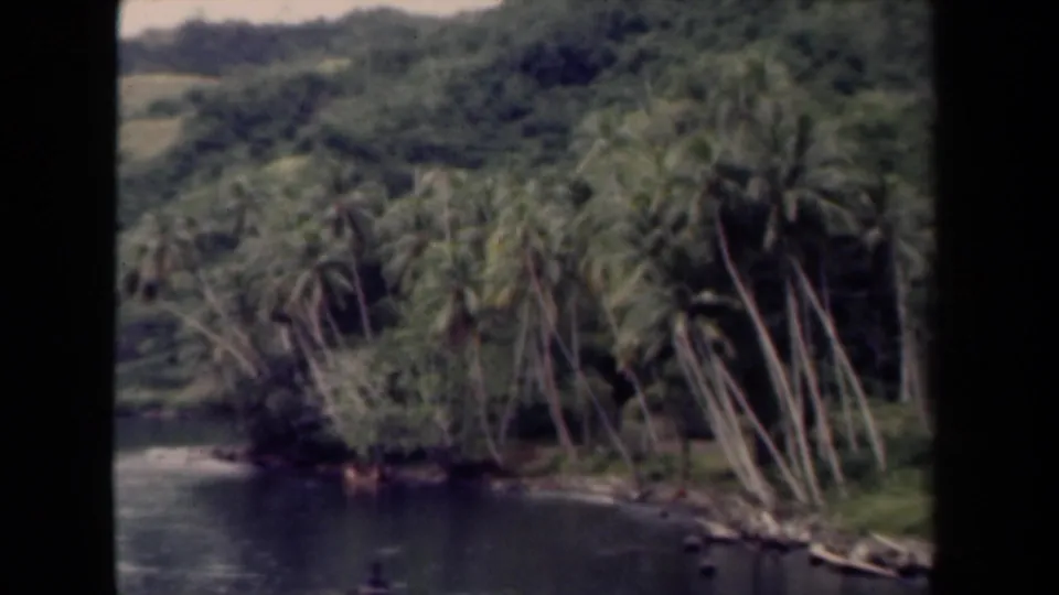 1944 Papua New Guinea 8mm frame showing a palm-lined tropical shoreline, calm water, green hillside, and visible film borders.