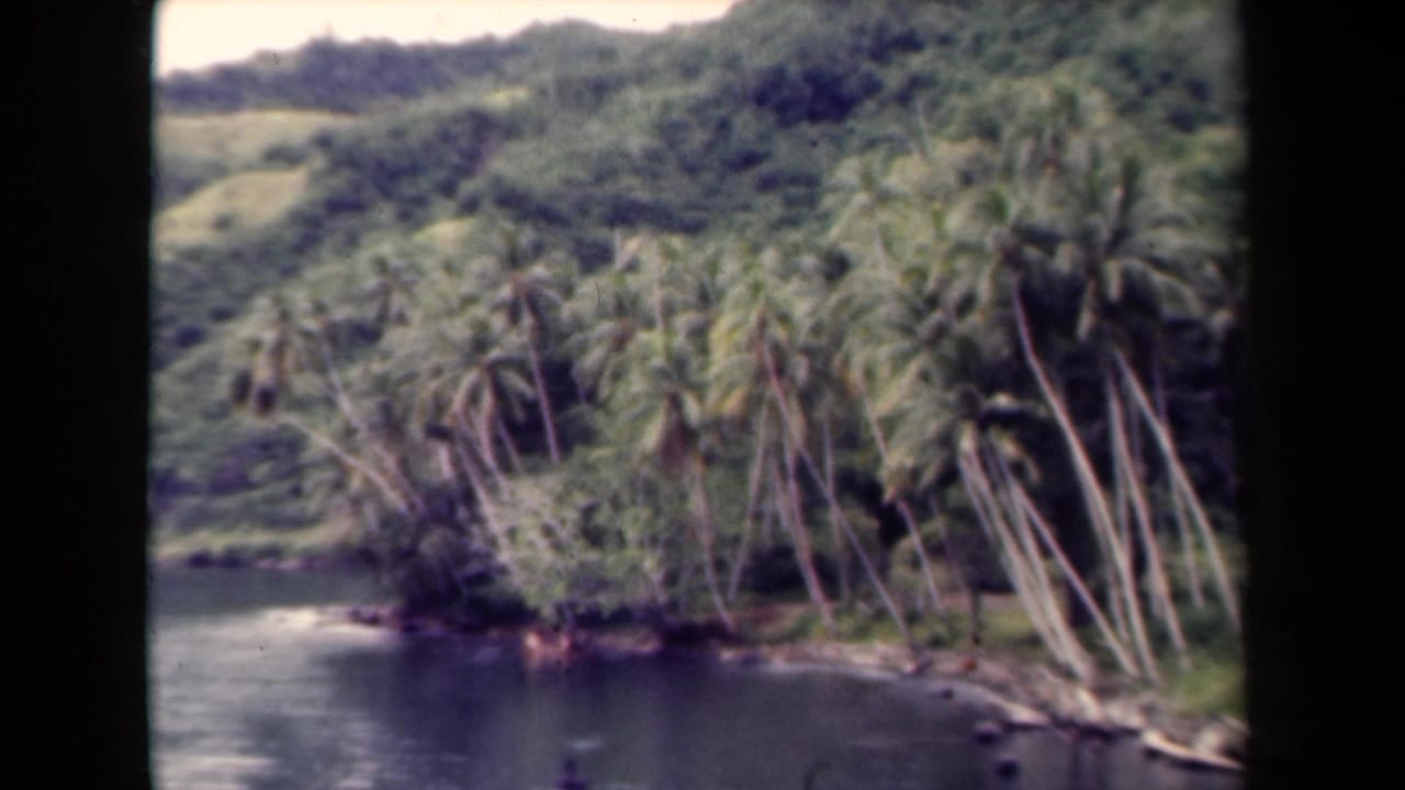 A palm-covered shoreline curves beside still water with hills in the background.