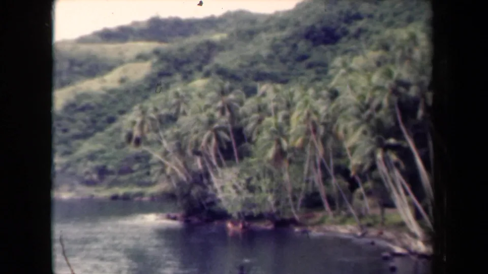 1944 Papua New Guinea 8mm frame with calm water in the foreground, leaning palm trees, dense shoreline growth, and a pale hillside path or clearing.