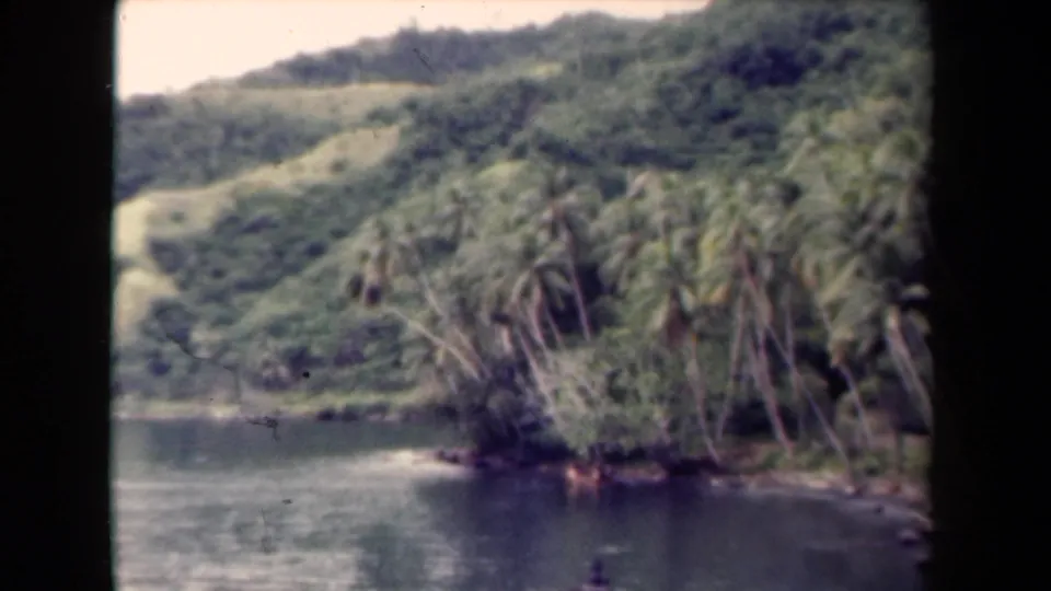 1944 Papua New Guinea 8mm frame showing rippled water, a palm-lined shore, dense tropical vegetation, and rolling green hills.