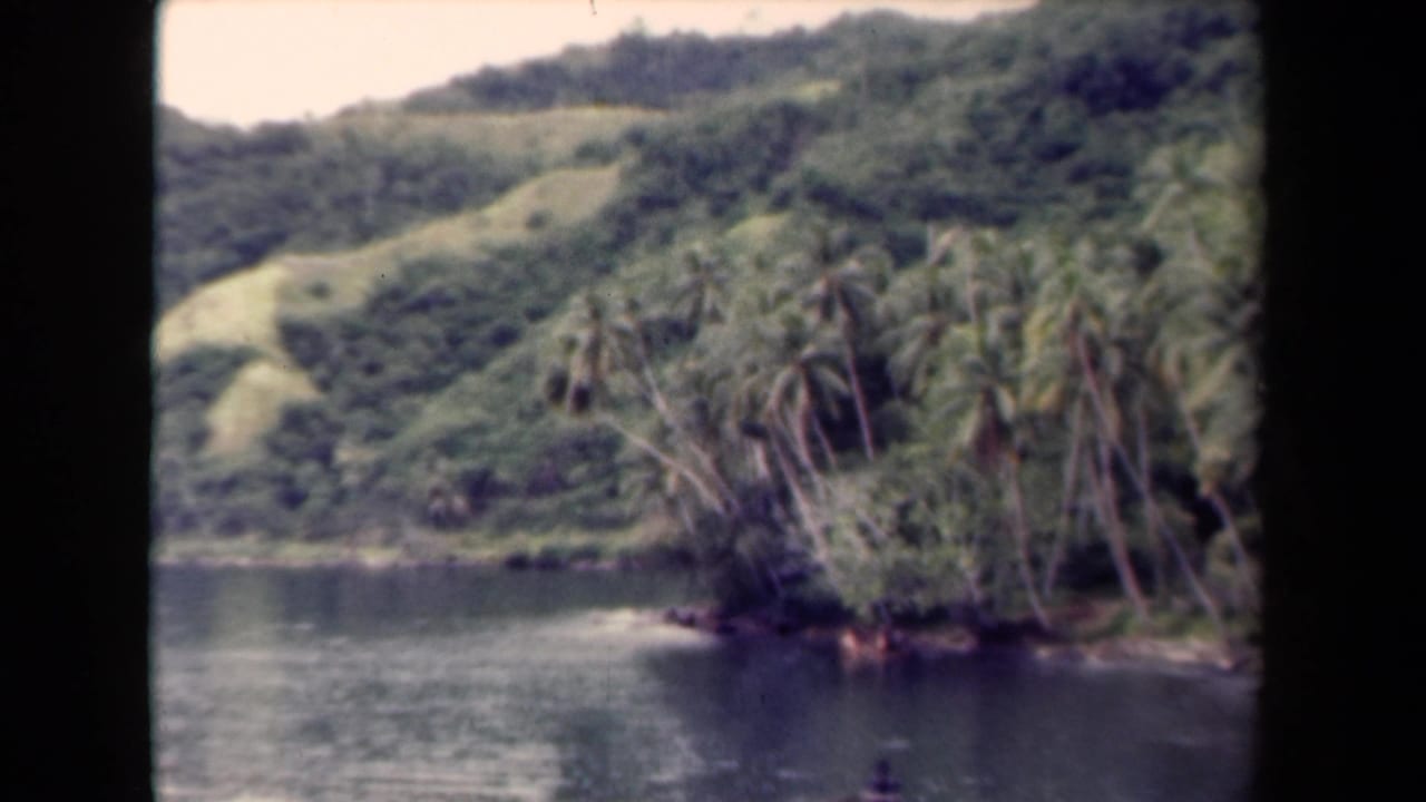 Tropical hillside and palms beside calm water, seen from a boat.
