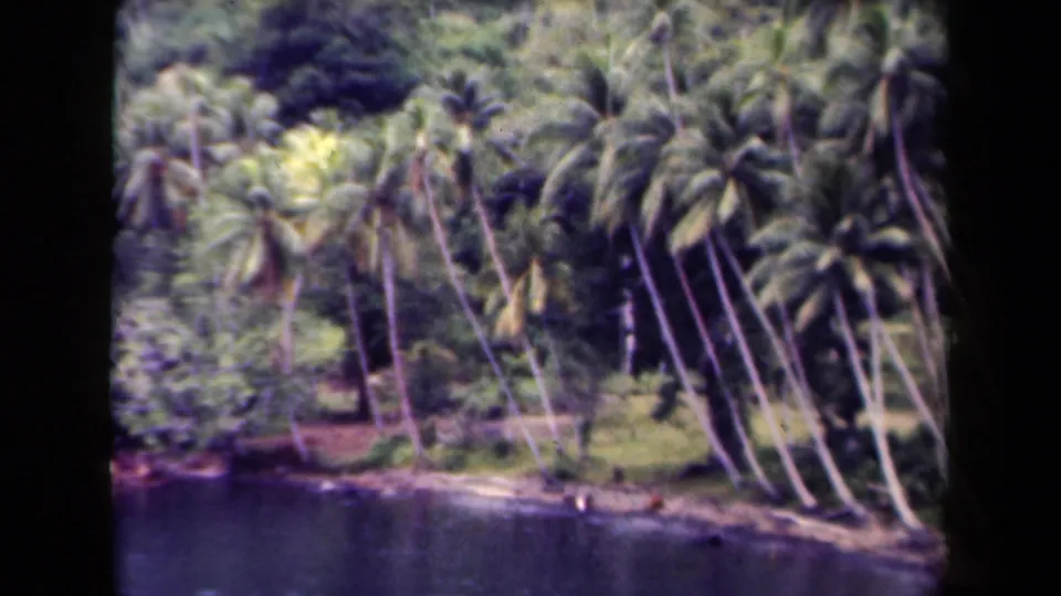 1944 Papua New Guinea home-movie frame with palms, dense foliage, shoreline, and calm water rendered in soft grainy color.