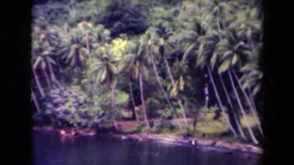 1944 Papua New Guinea 8mm frame showing a palm-covered shore, calm water, and a dark vertical film border.